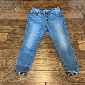 Judy Blue Skinny Fit High Rise Size 16W